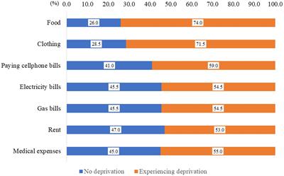 A cross-sectional survey of material deprivation and suicide-related ideation among Vietnamese technical interns in Japan